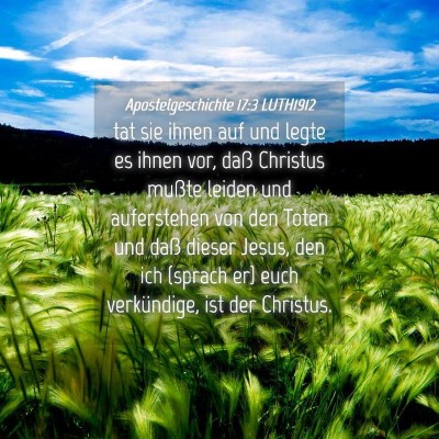Picture 04 - Apostelgeschichte 17:3 LUTH1912 - tat sie ihnen auf und legte es ihnen vor, daß - Bible Verse Picture