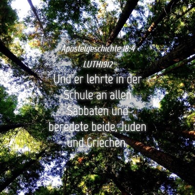 Picture 04 - Apostelgeschichte 18:4 LUTH1912 - Und er lehrte in der Schule an allen Sabbaten und - Bible Verse Picture