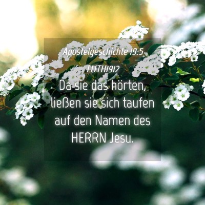 Picture 04 - Apostelgeschichte 19:5 LUTH1912 - Da sie das hörten, ließen sie sich taufen auf - Bible Verse Picture