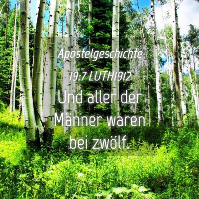 Picture 04 - Apostelgeschichte 19:7 LUTH1912 - Und aller der Männer waren bei - Bible Verse Picture