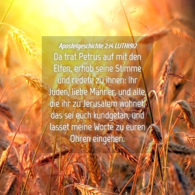 Picture 04 - Apostelgeschichte 2:14 LUTH1912 - Da trat Petrus auf mit den Elfen, erhob seine - Bible Verse Picture