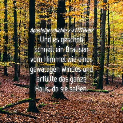 Picture 04 - Apostelgeschichte 2:2 LUTH1912 - Und es geschah schnell ein Brausen vom Himmel wie - Bible Verse Picture