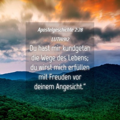 Picture 04 - Apostelgeschichte 2:28 LUTH1912 - Du hast mir kundgetan die Wege des Lebens; du - Bible Verse Picture