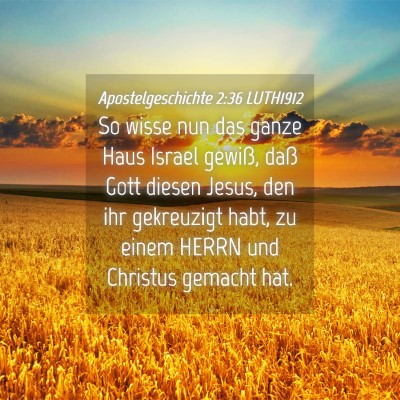 Picture 04 - Apostelgeschichte 2:36 LUTH1912 - So wisse nun das ganze Haus Israel gewiß, daß - Bible Verse Picture