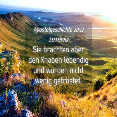 Picture 04 - Apostelgeschichte 20:12 LUTH1912 - Sie brachten aber den Knaben lebendig und wurden - Bible Verse Picture