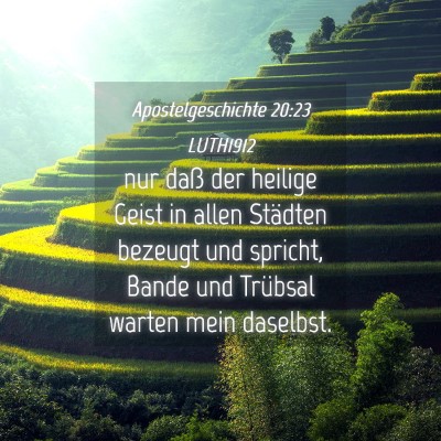 Picture 04 - Apostelgeschichte 20:23 LUTH1912 - nur daß der heilige Geist in allen Städten - Bible Verse Picture