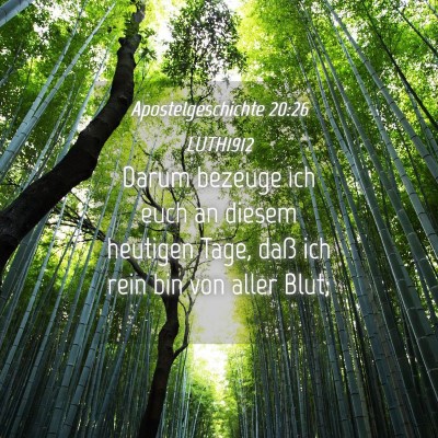 Picture 04 - Apostelgeschichte 20:26 LUTH1912 - Darum bezeuge ich euch an diesem heutigen Tage, - Bible Verse Picture
