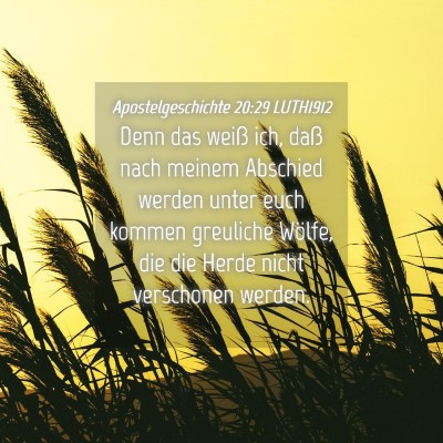 Picture 04 - Apostelgeschichte 20:29 LUTH1912 - Denn das weiß ich, daß nach meinem Abschied - Bible Verse Picture
