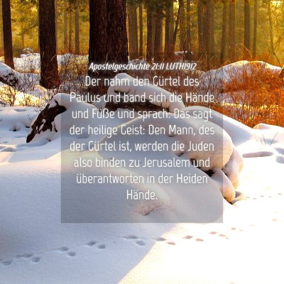 Picture 04 - Apostelgeschichte 21:11 LUTH1912 - Der nahm den Gürtel des Paulus und band sich die - Bible Verse Picture