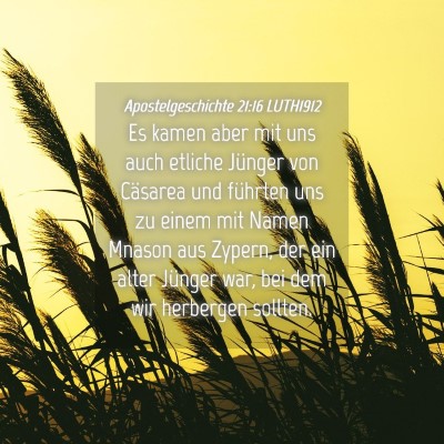 Picture 04 - Apostelgeschichte 21:16 LUTH1912 - Es kamen aber mit uns auch etliche Jünger von - Bible Verse Picture