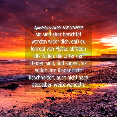 Picture 04 - Apostelgeschichte 21:21 LUTH1912 - sie sind aber berichtet worden wider dich, daß - Bible Verse Picture