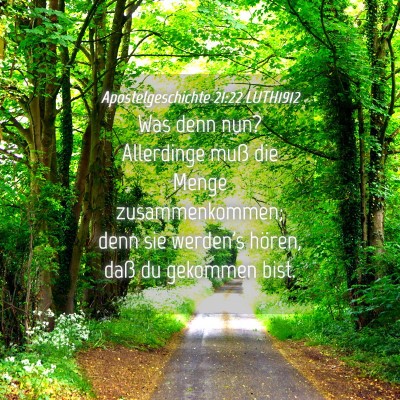 Picture 04 - Apostelgeschichte 21:22 LUTH1912 - Was denn nun? Allerdinge muß die Menge - Bible Verse Picture