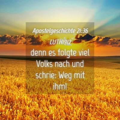 Picture 04 - Apostelgeschichte 21:36 LUTH1912 - denn es folgte viel Volks nach und schrie: Weg - Bible Verse Picture