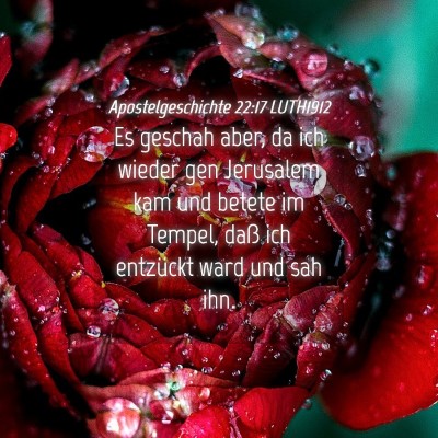 Picture 04 - Apostelgeschichte 22:17 LUTH1912 - Es geschah aber, da ich wieder gen Jerusalem kam - Bible Verse Picture