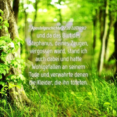 Picture 04 - Apostelgeschichte 22:20 LUTH1912 - und da das Blut des Stephanus, deines Zeugen, - Bible Verse Picture