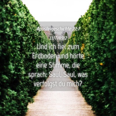 Picture 04 - Apostelgeschichte 22:7 LUTH1912 - Und ich fiel zum Erdboden und hörte eine Stimme, - Bible Verse Picture