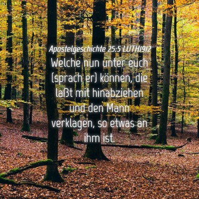 Picture 04 - Apostelgeschichte 25:5 LUTH1912 - Welche nun unter euch (sprach er) können, die - Bible Verse Picture