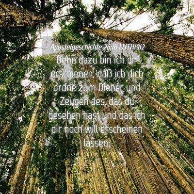 Picture 04 - Apostelgeschichte 26:16 LUTH1912 - Denn dazu bin ich dir erschienen, daß ich dich - Bible Verse Picture