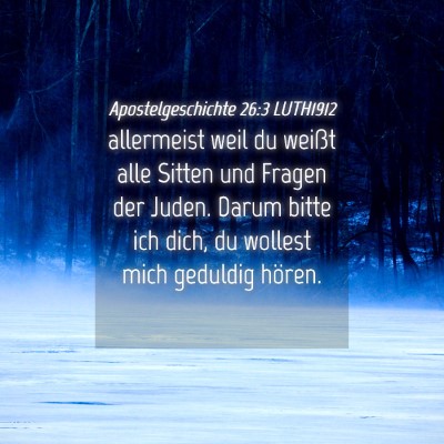 Picture 04 - Apostelgeschichte 26:3 LUTH1912 - allermeist weil du weißt alle Sitten und Fragen - Bible Verse Picture