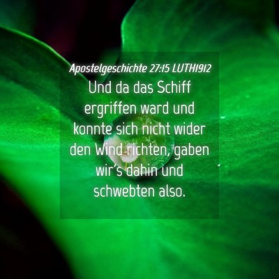 Picture 04 - Apostelgeschichte 27:15 LUTH1912 - Und da das Schiff ergriffen ward und konnte sich - Bible Verse Picture