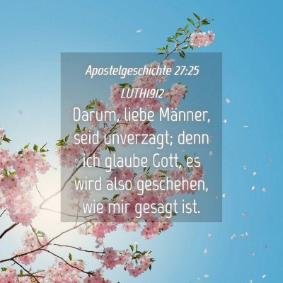 Picture 04 - Apostelgeschichte 27:25 LUTH1912 - Darum, liebe Männer, seid unverzagt; denn ich - Bible Verse Picture