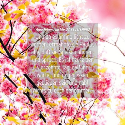 Picture 04 - Apostelgeschichte 27:33 LUTH1912 - Und da es anfing licht zu werden, ermahnte sie - Bible Verse Picture