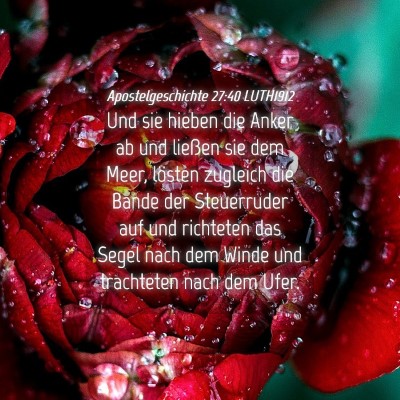 Picture 04 - Apostelgeschichte 27:40 LUTH1912 - Und sie hieben die Anker ab und ließen sie dem - Bible Verse Picture