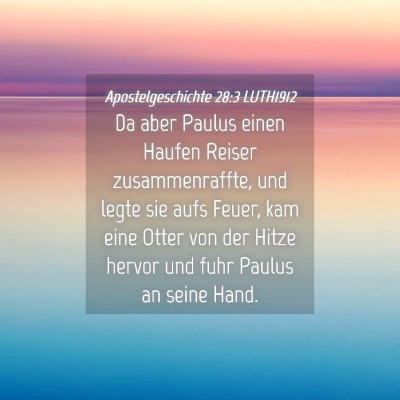 Picture 04 - Apostelgeschichte 28:3 LUTH1912 - Da aber Paulus einen Haufen Reiser - Bible Verse Picture
