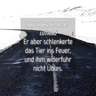 Picture 04 - Apostelgeschichte 28:5 LUTH1912 - Er aber schlenkerte das Tier ins Feuer, und ihm - Bible Verse Picture