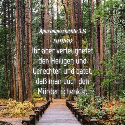 Picture 04 - Apostelgeschichte 3:14 LUTH1912 - Ihr aber verleugnetet den Heiligen und Gerechten - Bible Verse Picture