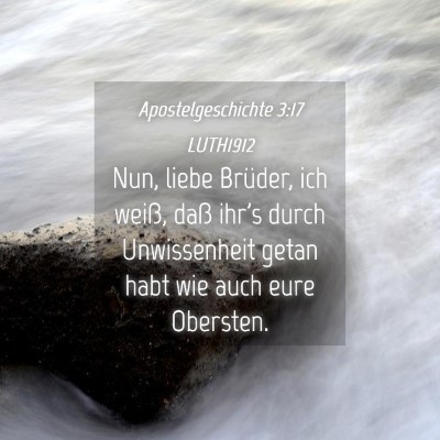 Picture 04 - Apostelgeschichte 3:17 LUTH1912 - Nun, liebe Brüder, ich weiß, daß ihr's durch - Bible Verse Picture