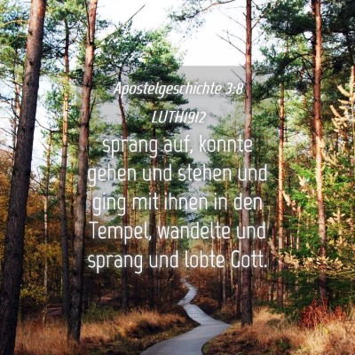 Picture 04 - Apostelgeschichte 3:8 LUTH1912 - sprang auf, konnte gehen und stehen und ging mit - Bible Verse Picture
