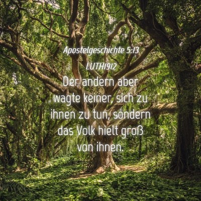 Picture 04 - Apostelgeschichte 5:13 LUTH1912 - Der andern aber wagte keiner, sich zu ihnen zu - Bible Verse Picture