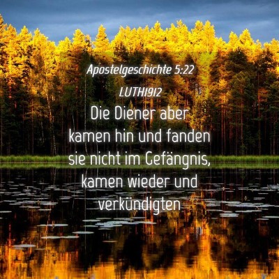 Picture 04 - Apostelgeschichte 5:22 LUTH1912 - Die Diener aber kamen hin und fanden sie nicht im - Bible Verse Picture