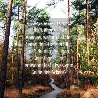 Picture 04 - Apostelgeschichte 5:3 LUTH1912 - Petrus aber sprach: Ananias, warum hat der Satan - Bible Verse Picture