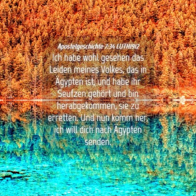 Picture 04 - Apostelgeschichte 7:34 LUTH1912 - Ich habe wohl gesehen das Leiden meines Volkes, - Bible Verse Picture