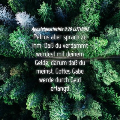 Picture 04 - Apostelgeschichte 8:20 LUTH1912 - Petrus aber sprach zu ihm: Daß du verdammt - Bible Verse Picture