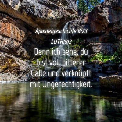 Picture 04 - Apostelgeschichte 8:23 LUTH1912 - Denn ich sehe, du bist voll bitterer Galle und - Bible Verse Picture