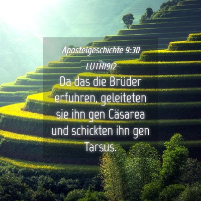 Picture 04 - Apostelgeschichte 9:30 LUTH1912 - Da das die Brüder erfuhren, geleiteten sie ihn - Bible Verse Picture