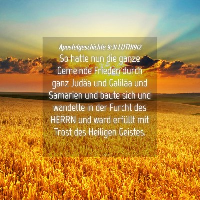Picture 04 - Apostelgeschichte 9:31 LUTH1912 - So hatte nun die ganze Gemeinde Frieden durch - Bible Verse Picture