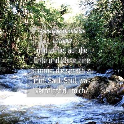 Picture 04 - Apostelgeschichte 9:4 LUTH1912 - und er fiel auf die Erde und hörte eine Stimme, - Bible Verse Picture