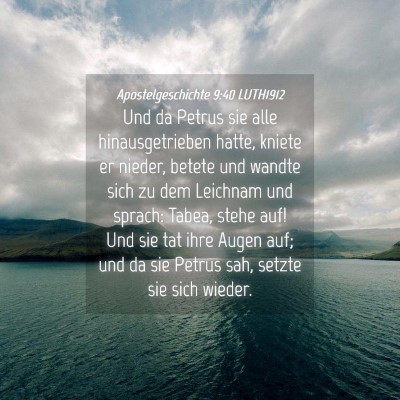 Picture 04 - Apostelgeschichte 9:40 LUTH1912 - Und da Petrus sie alle hinausgetrieben hatte, - Bible Verse Picture