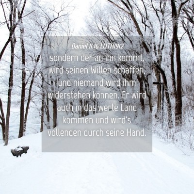 Picture 04 - Daniel 11:16 LUTH1912 - sondern der an ihn kommt, wird seinen Willen - Bible Verse Picture