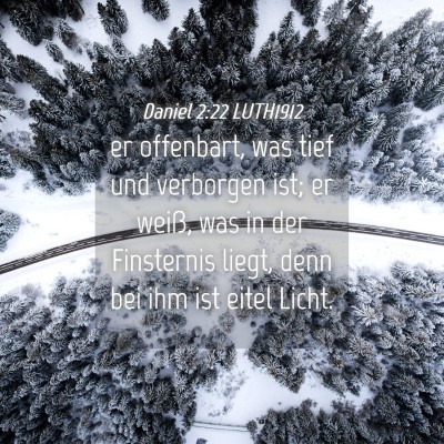 Picture 04 - Daniel 2:22 LUTH1912 - er offenbart, was tief und verborgen ist; er - Bible Verse Picture
