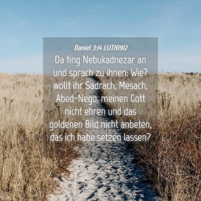 Picture 04 - Daniel 3:14 LUTH1912 - Da fing Nebukadnezar an und sprach zu ihnen: Wie? - Bible Verse Picture