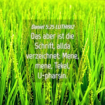 Picture 04 - Daniel 5:25 LUTH1912 - Das aber ist die Schrift, allda verzeichnet: - Bible Verse Picture