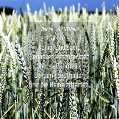 Picture 04 - Daniel 5:6 LUTH1912 - Da entfärbte sich der König, und seine Gedanken - Bible Verse Picture