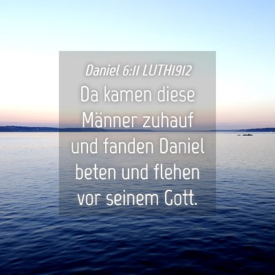 Picture 04 - Daniel 6:11 LUTH1912 - Da kamen diese Männer zuhauf und fanden Daniel - Bible Verse Picture
