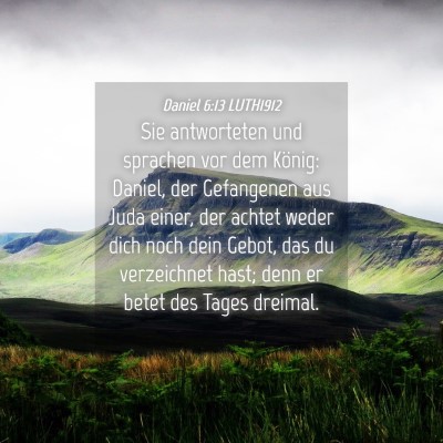 Picture 04 - Daniel 6:13 LUTH1912 - Sie antworteten und sprachen vor dem König: - Bible Verse Picture