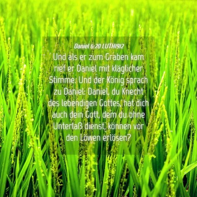 Picture 04 - Daniel 6:20 LUTH1912 - Und als er zum Graben kam rief er Daniel mit - Bible Verse Picture